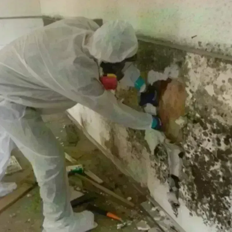 Best Mold Remediation and Removal Service in Middlesex County, MA